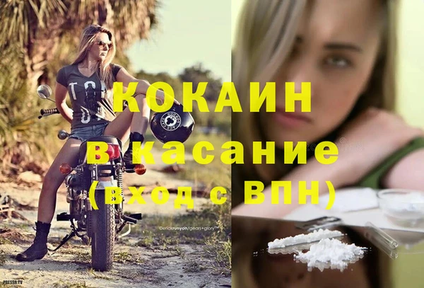 гашик Алексин