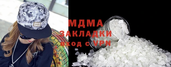 гашик Алексин