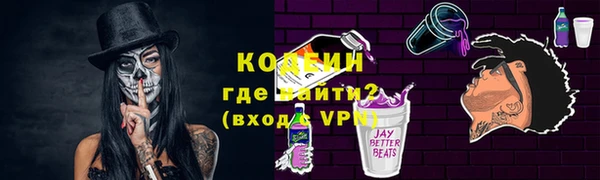 гашик Алексин
