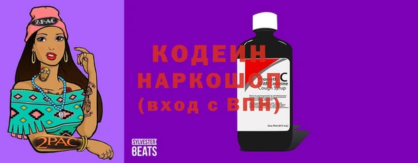 гашик Алексин