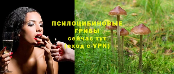 гашик Алексин