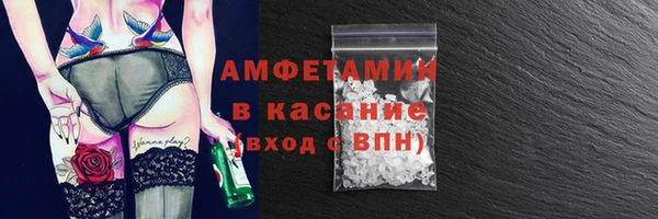 гашик Алексин