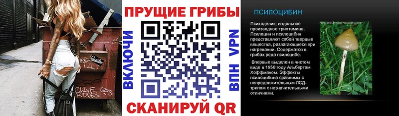 Псилоцибиновые грибы Psilocybe Кандалакша