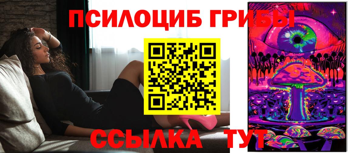 Кандалакша  Псилоцибиновые грибы Psilocybine cubensis  Вход с VPN 